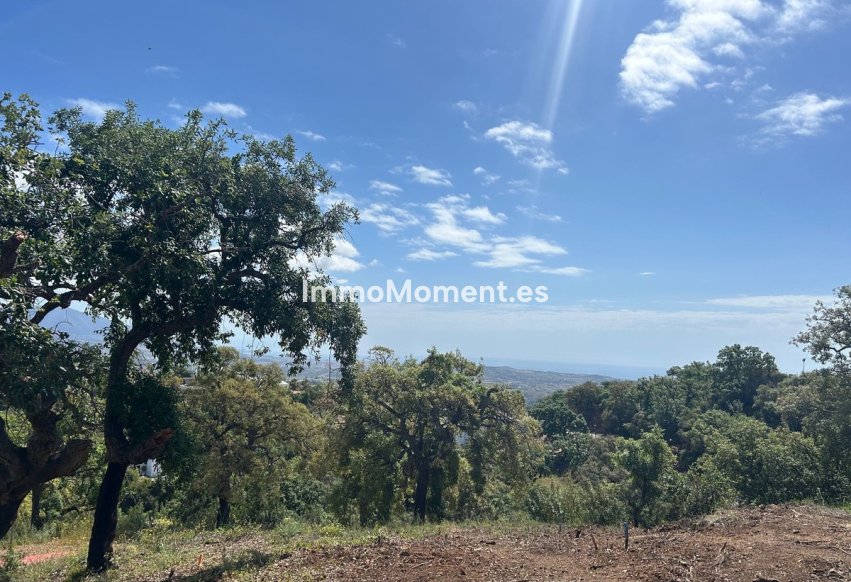 Revente - Parcelle - Marbella - La Mairena