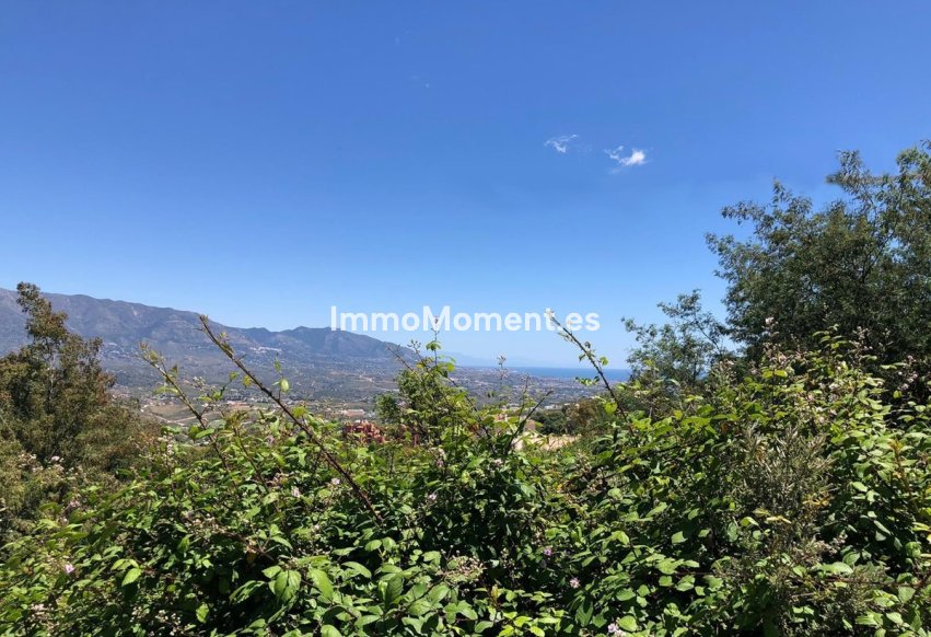 Revente - Parcelle - Marbella - La Mairena
