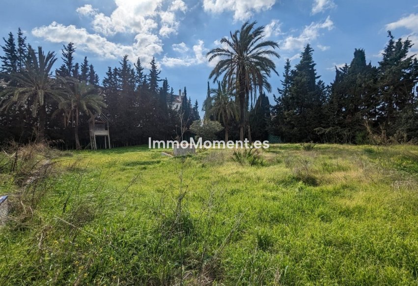 Revente - Parcelle - Marbella - Marbella Centro