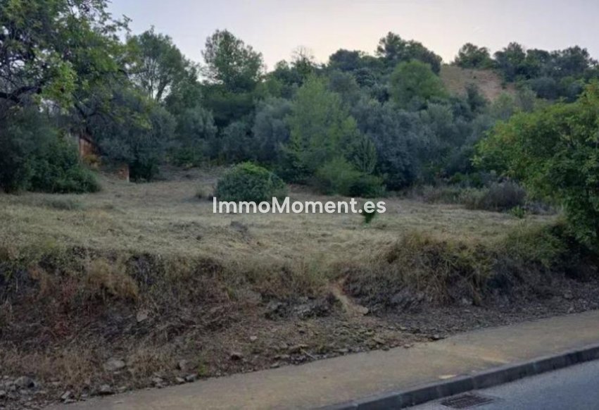 Revente - Parcelle - Marbella - Marbella Centro