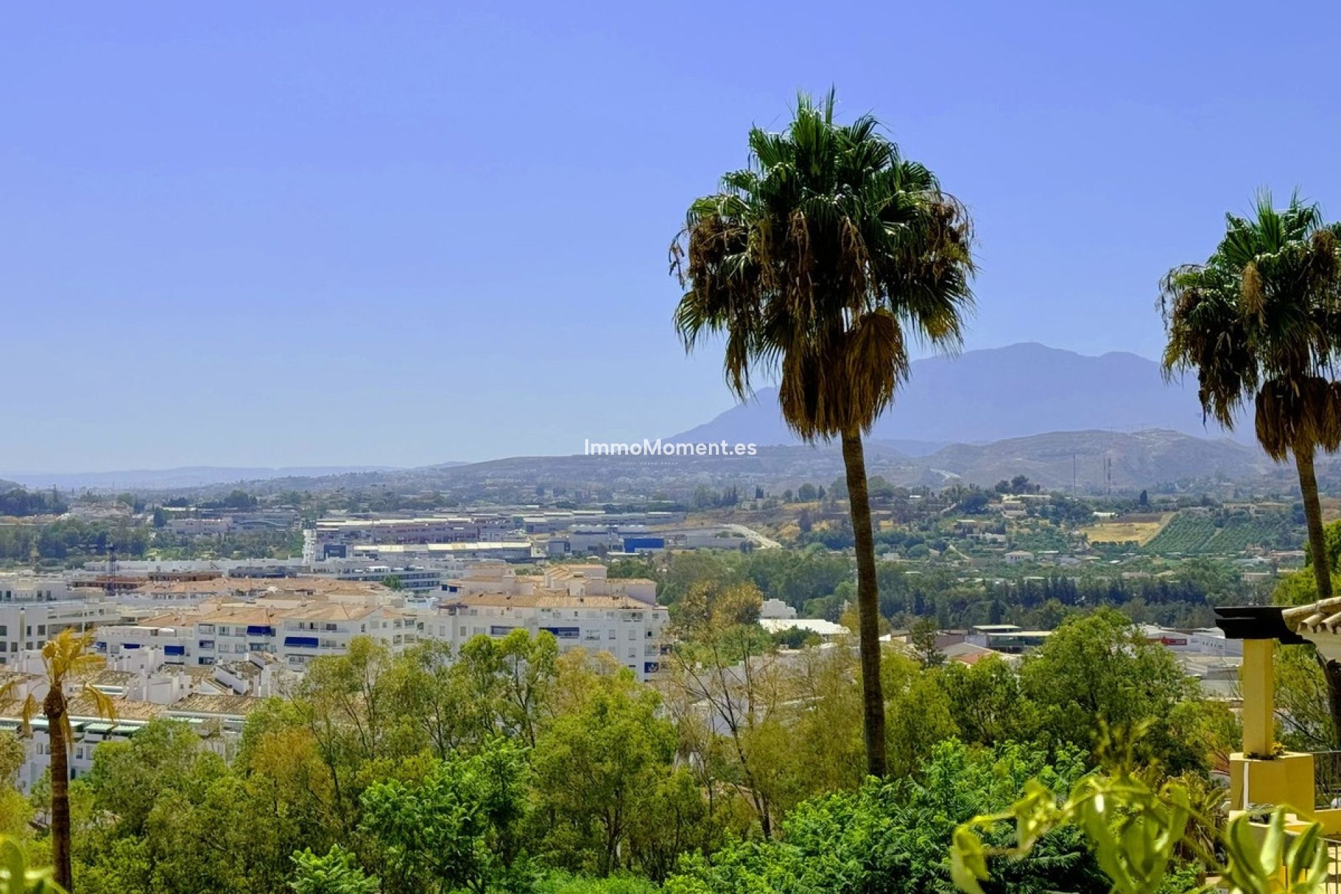 Revente - Parcelle - Marbella - Nueva Andalucía