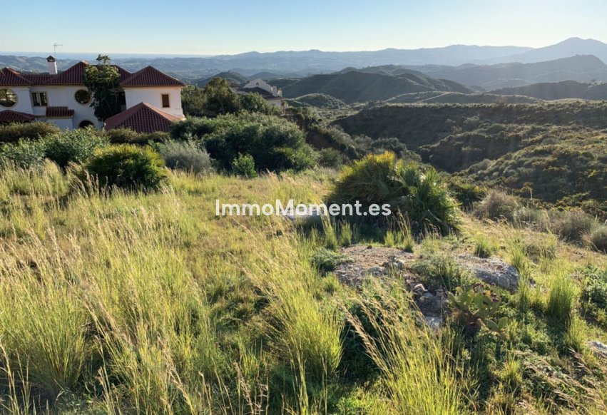 Revente - Parcelle - Mijas - Valtocado