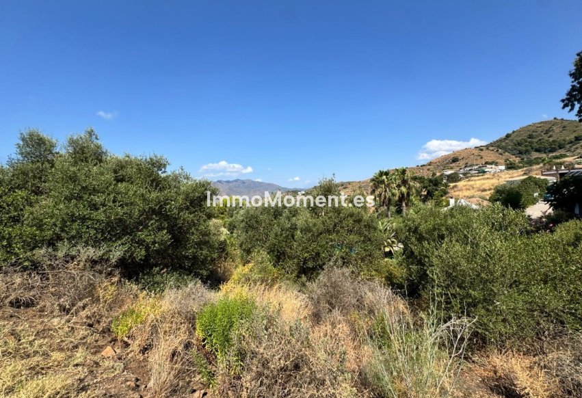 Revente - Parcelle - Mijas - Valtocado