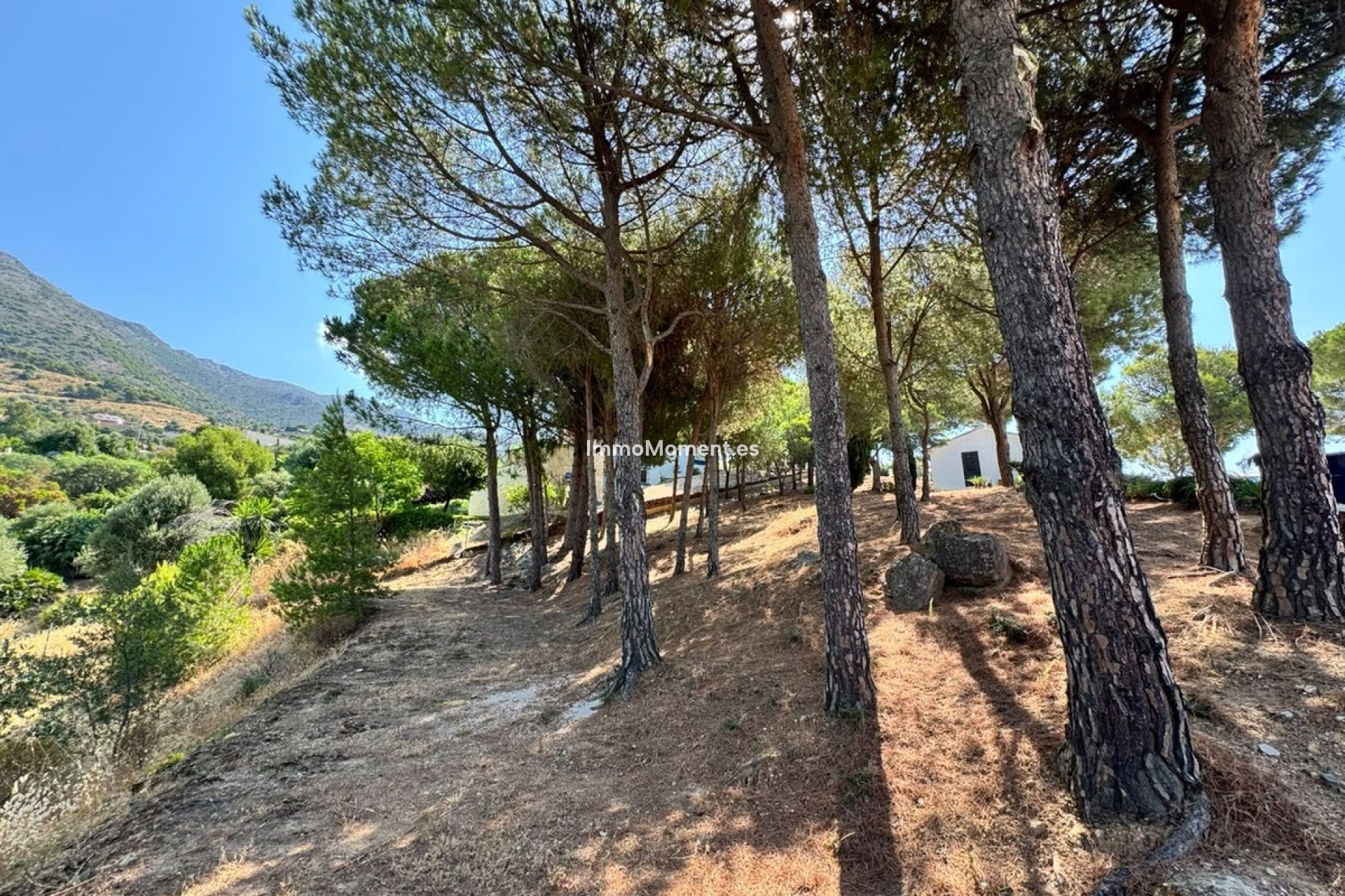 Revente - Parcelle - Mijas - Valtocado