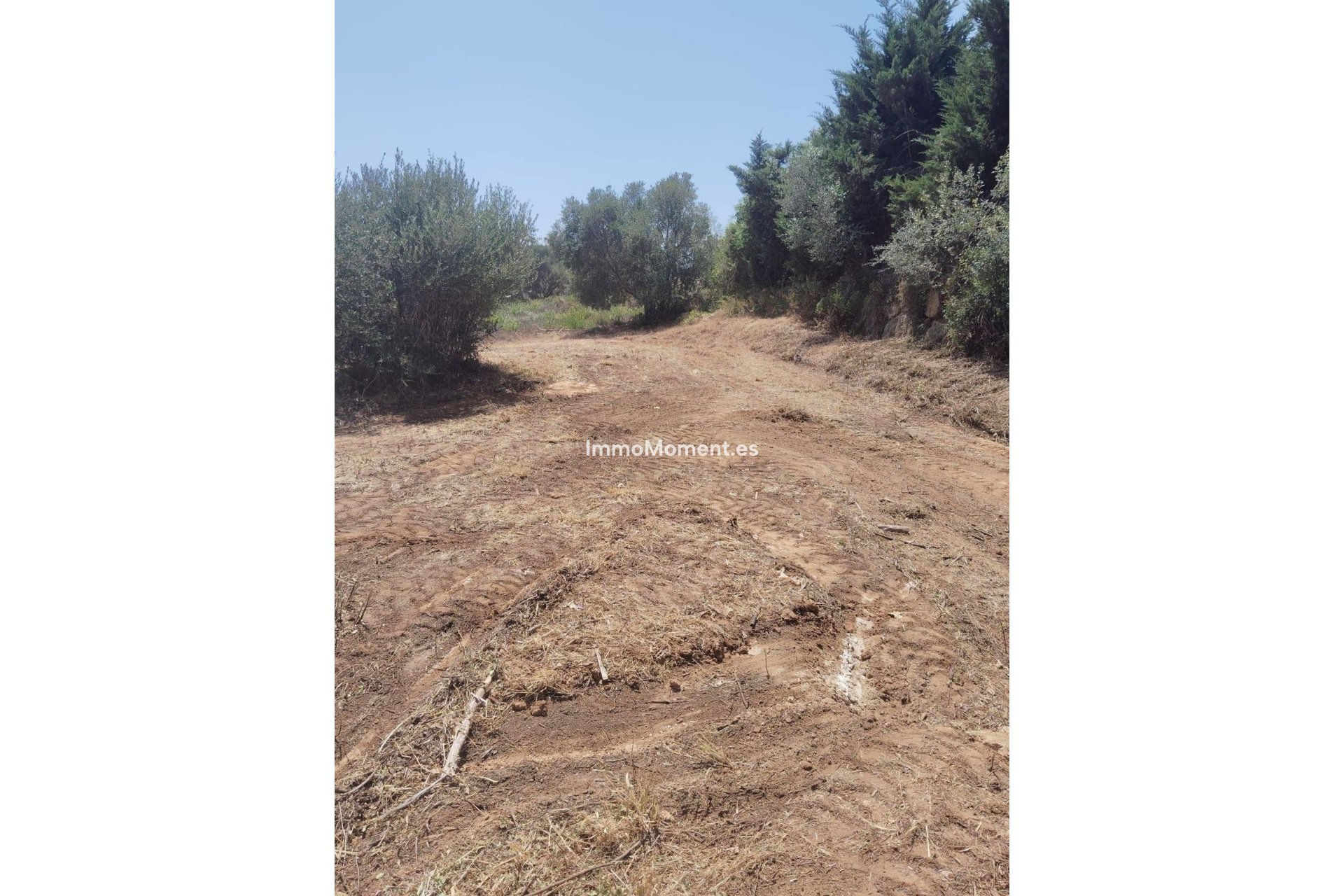 Revente - Parcelle - Sotogrande - Sotogrande Alto