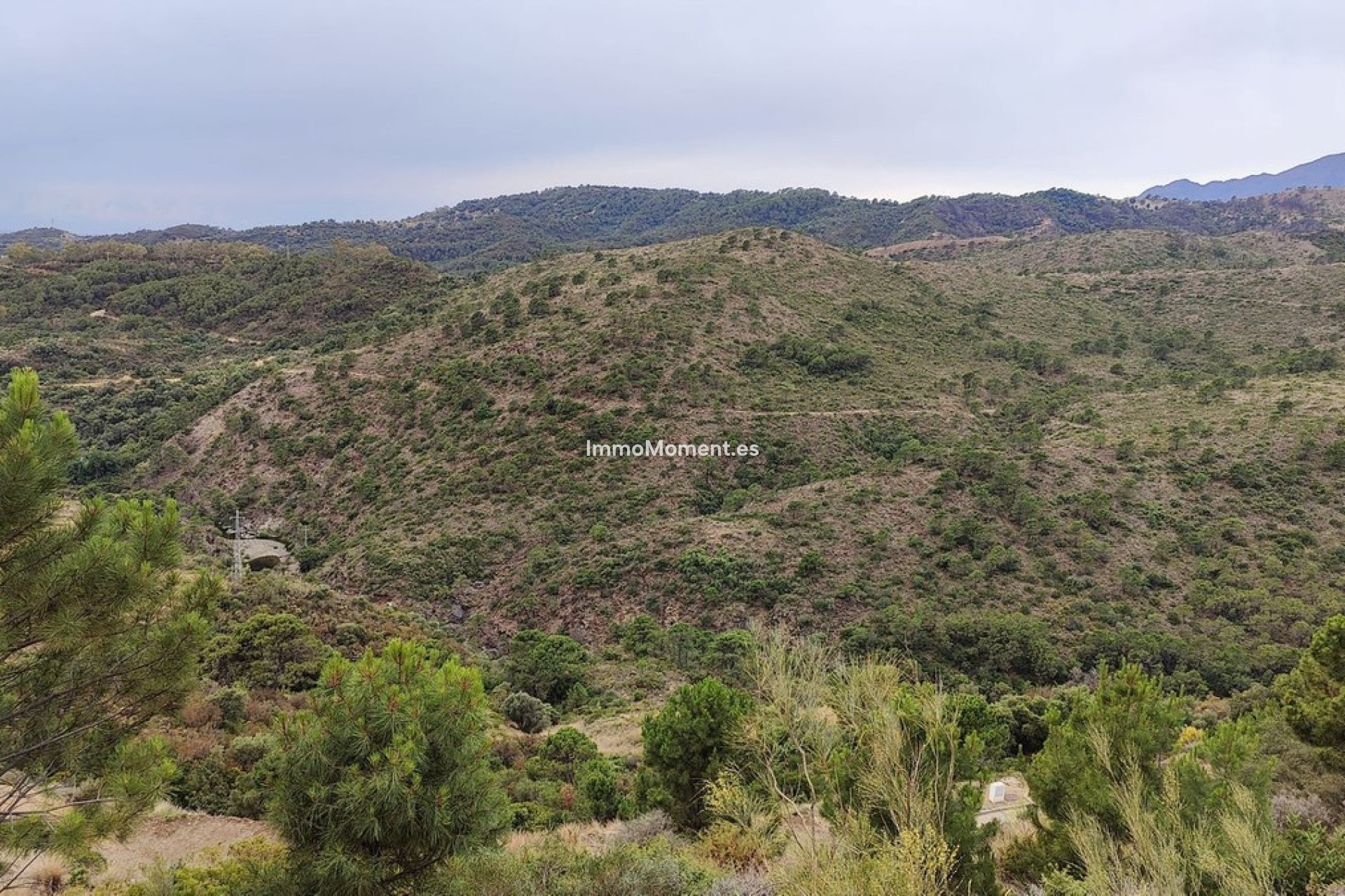 Revente - Terrain - Benahavís - Benahavís Centro