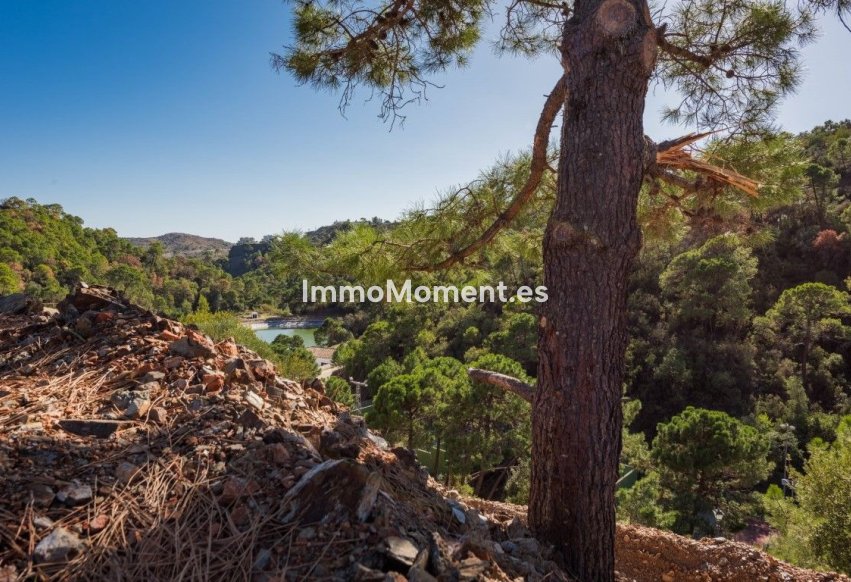 Revente - Terrain - Benahavís - Benahavís Centro