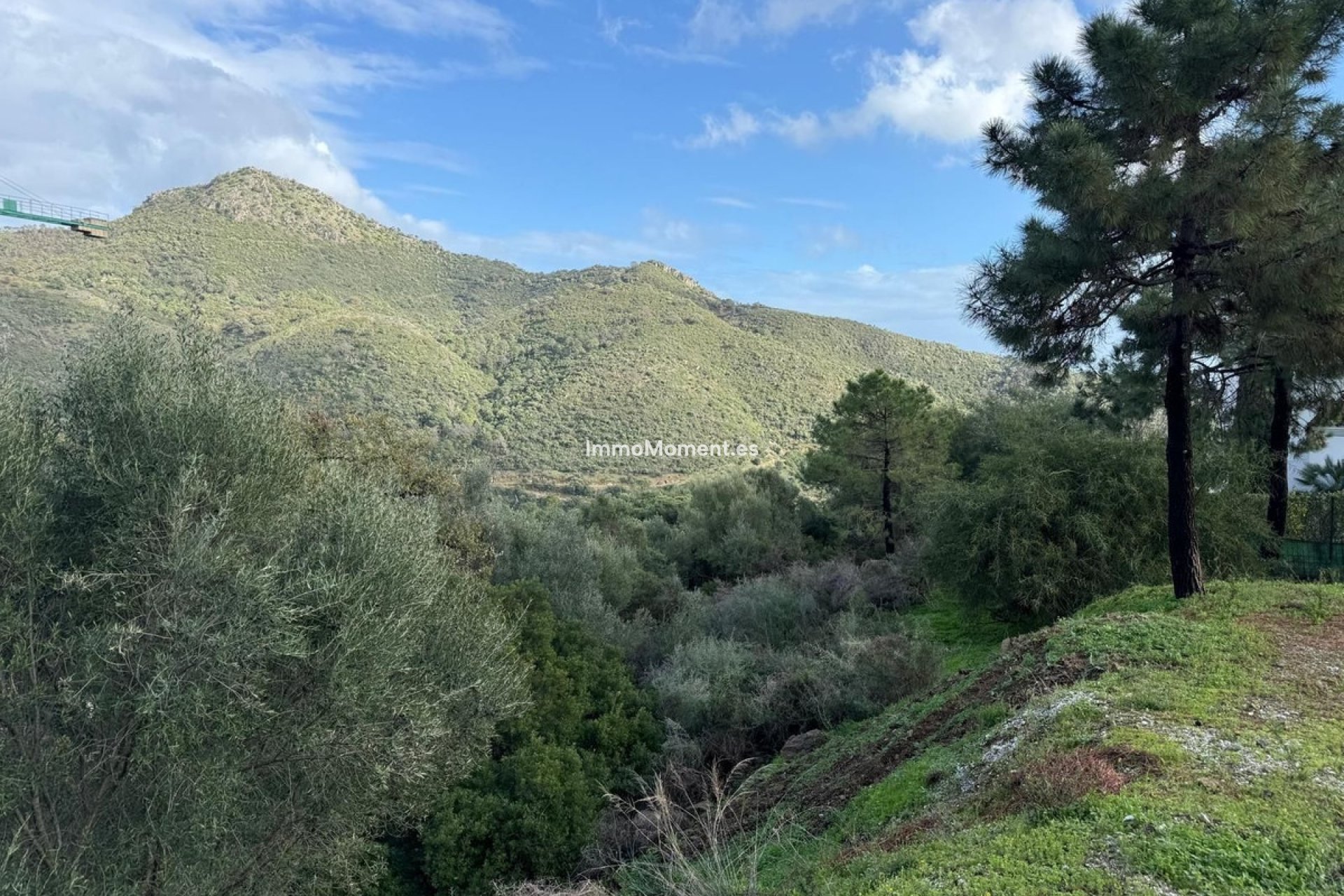 Revente - Terrain - Benahavís - Benahavís Centro