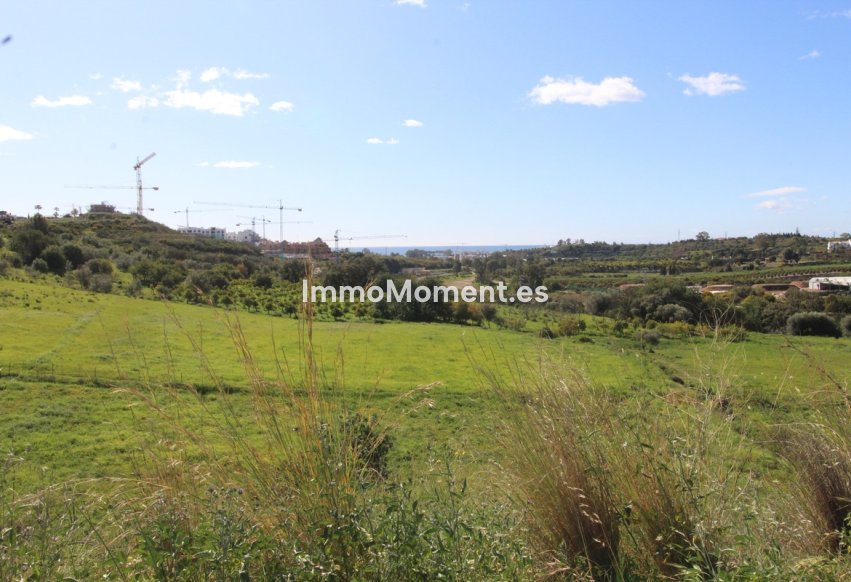 Revente - Terrain - Benahavís - Benahavís Centro