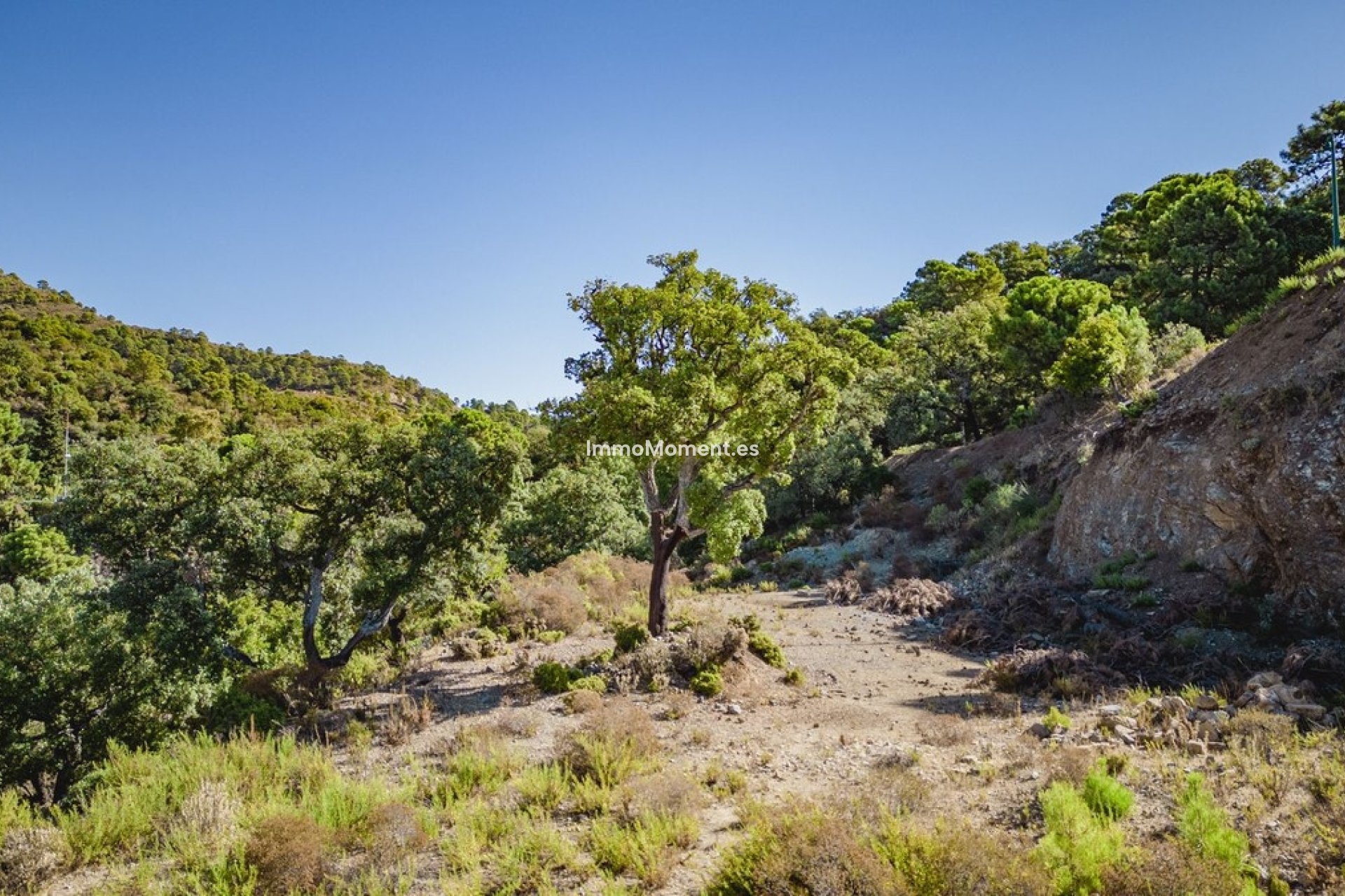 Revente - Terrain - Benahavís - La Zagaleta