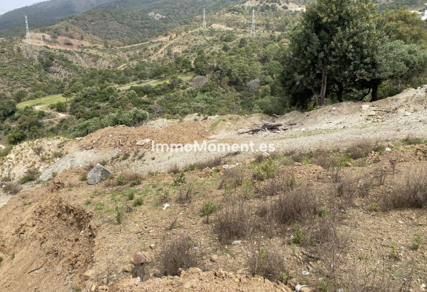 Revente - Terrain - Benahavís - La Zagaleta