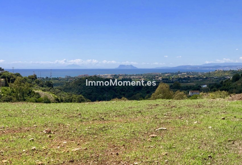 Revente - Terrain - Estepona  - Estepona Centro