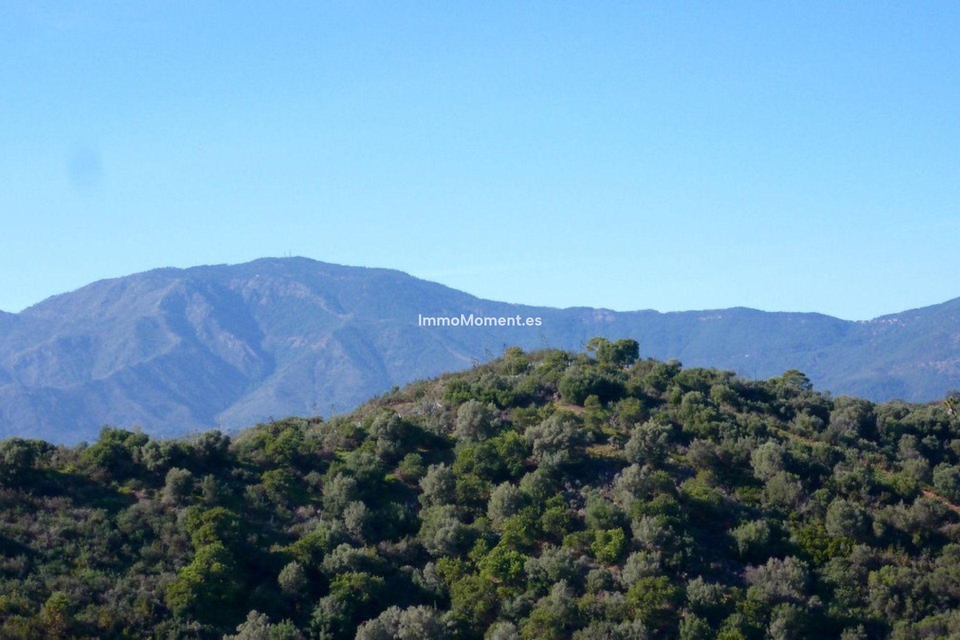 Revente - Terrain - Estepona  - New Golden Mile