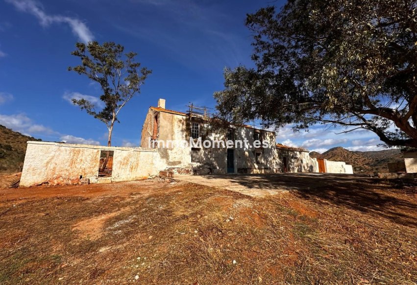 Revente - Terrain - Intérieur                       - Almogía