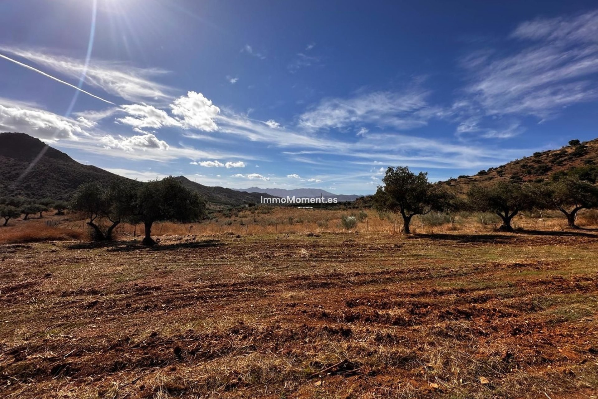 Revente - Terrain - Intérieur                       - Almogía