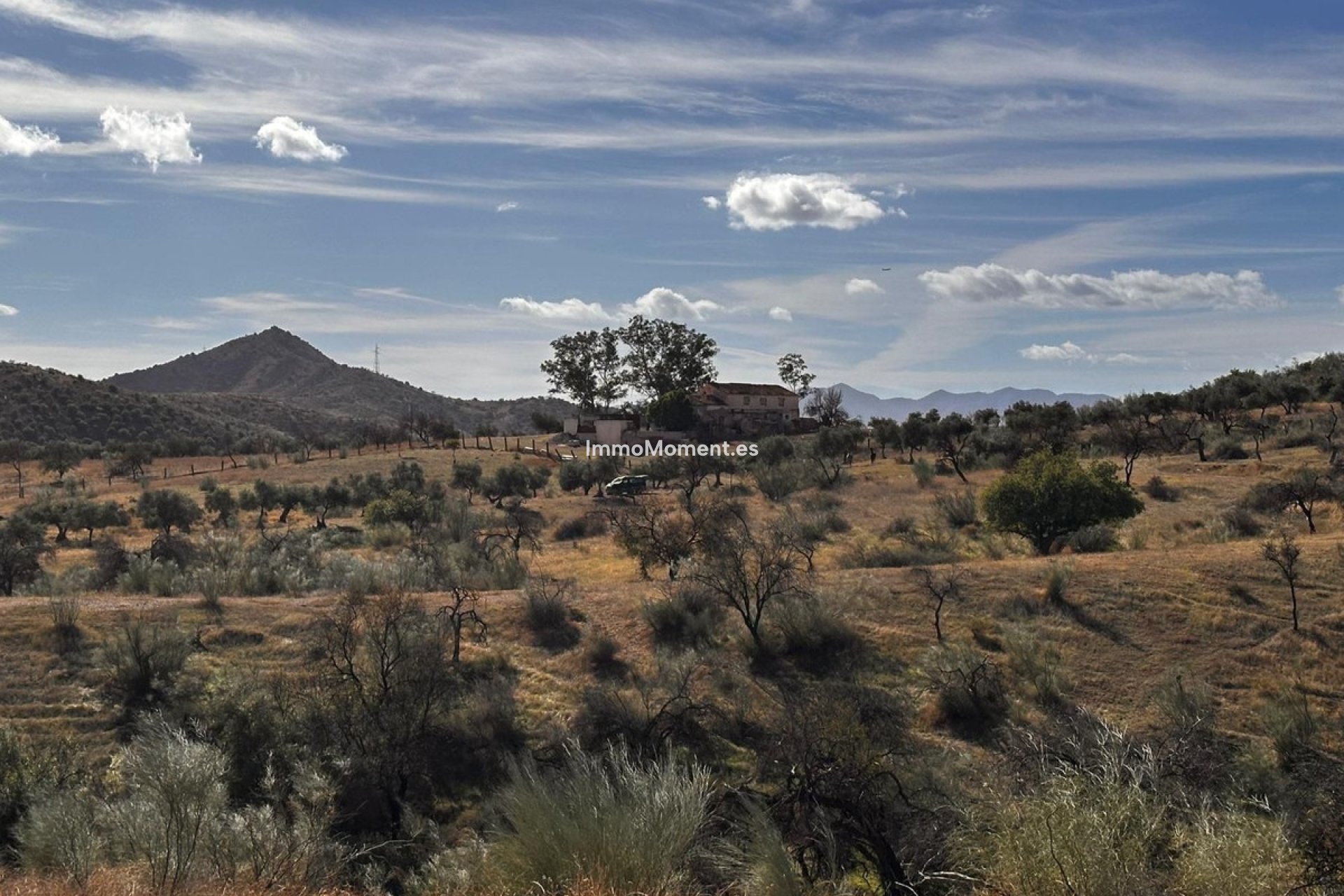 Revente - Terrain - Intérieur                       - Almogía