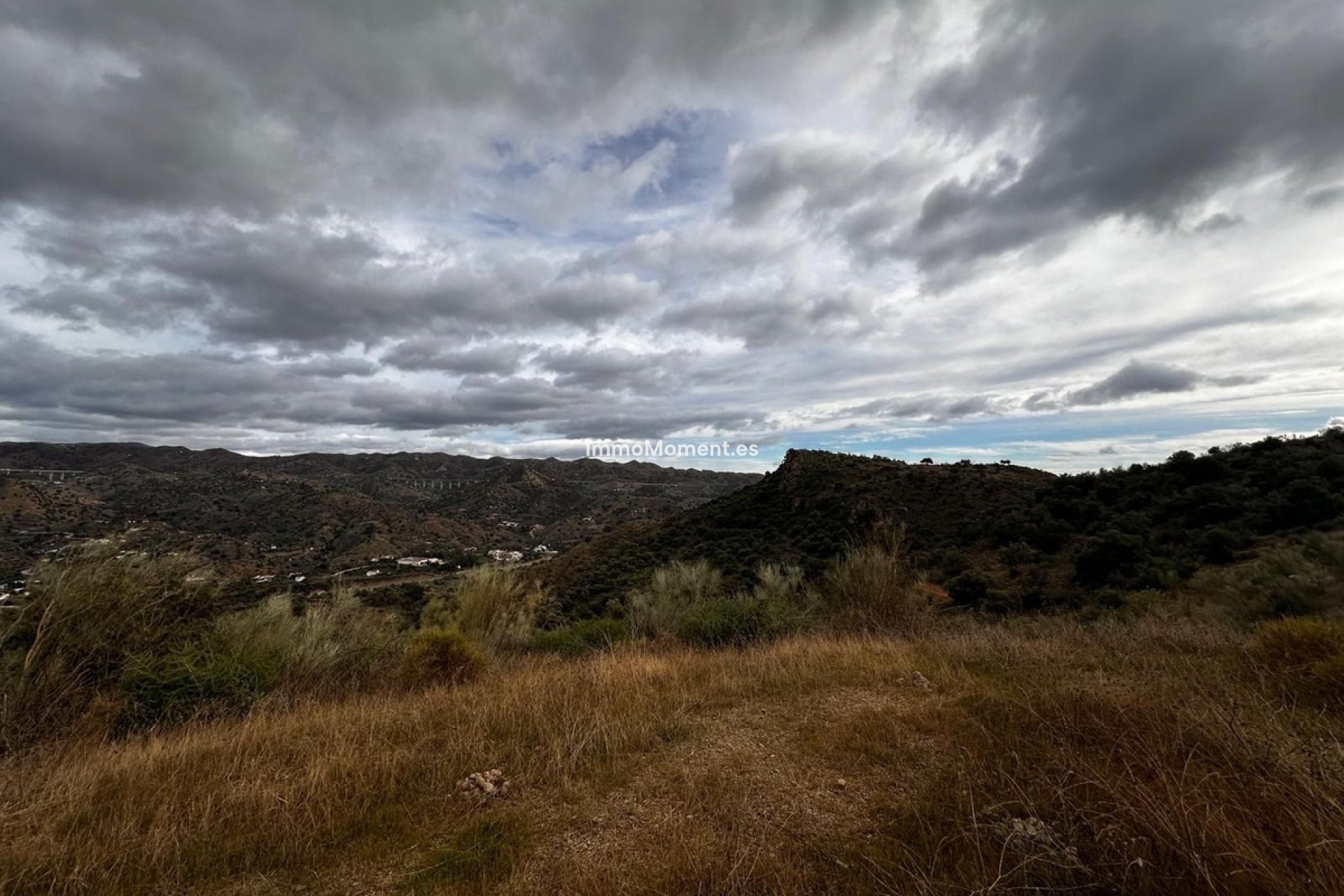 Revente - Terrain - Intérieur                       - Almogía