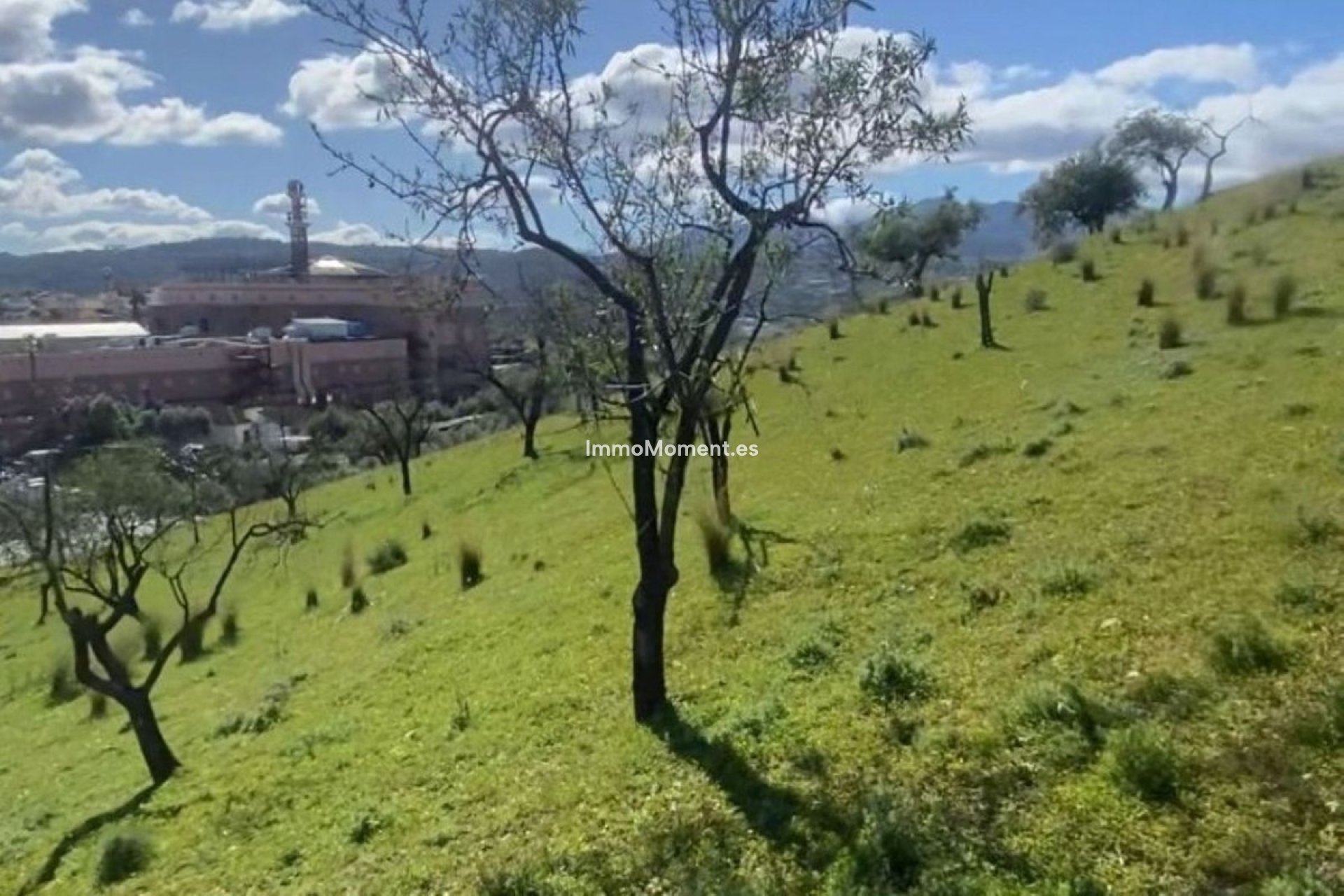 Revente - Terrain - Intérieur                       - Coín