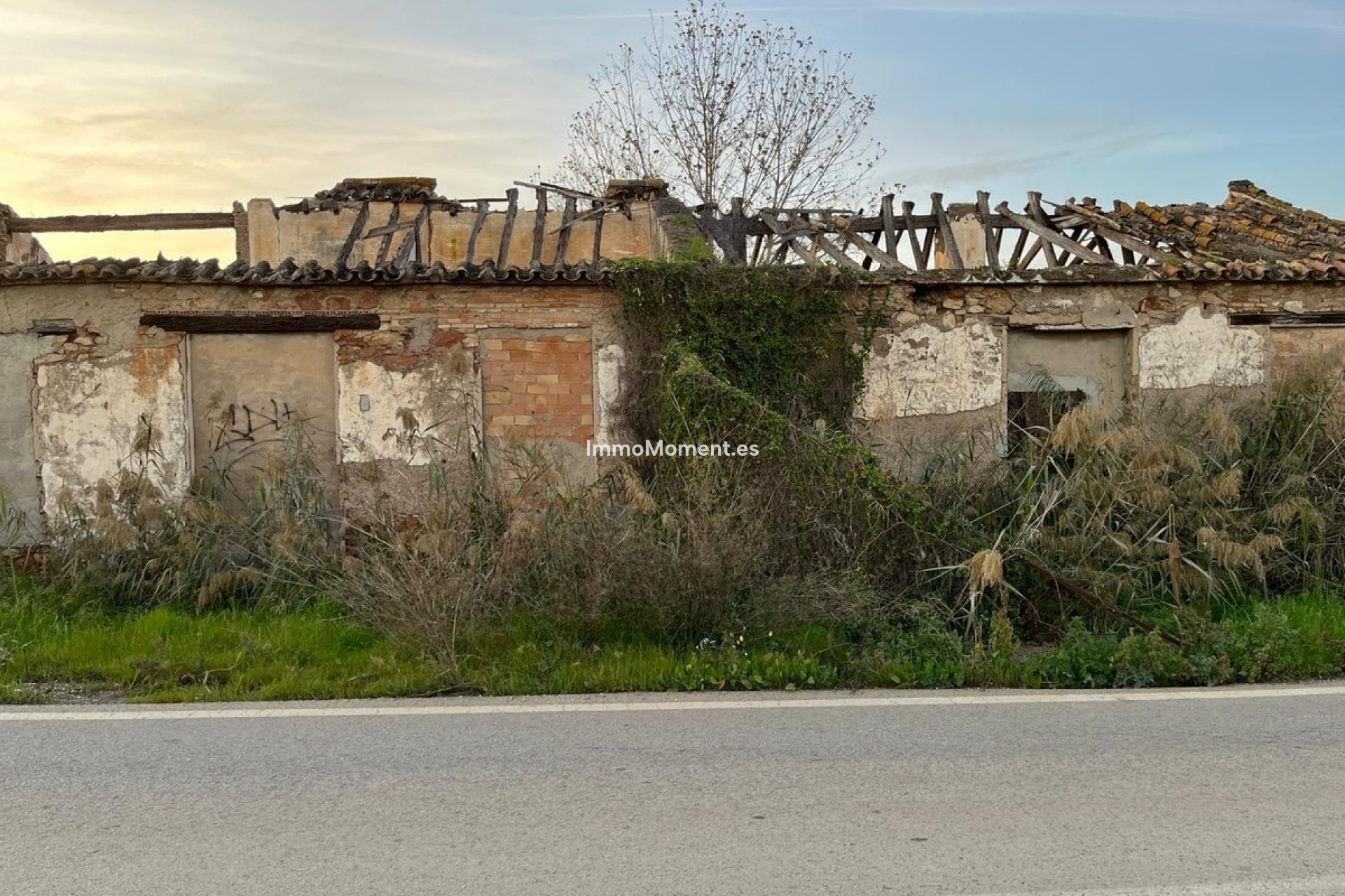 Revente - Terrain - Málaga - Campanillas