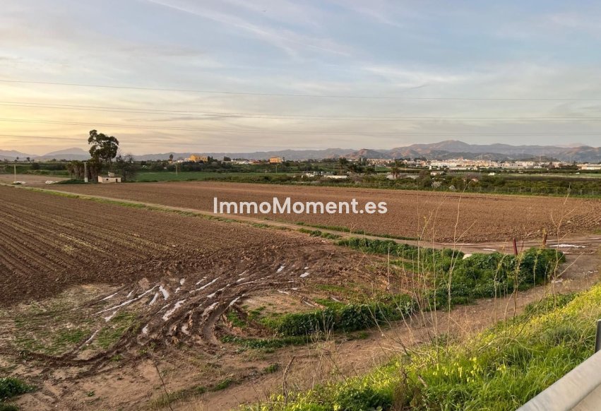 Revente - Terrain - Málaga - Campanillas