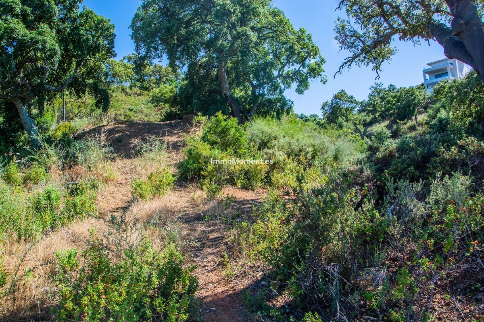 Revente - Terrain - Marbella - La Mairena