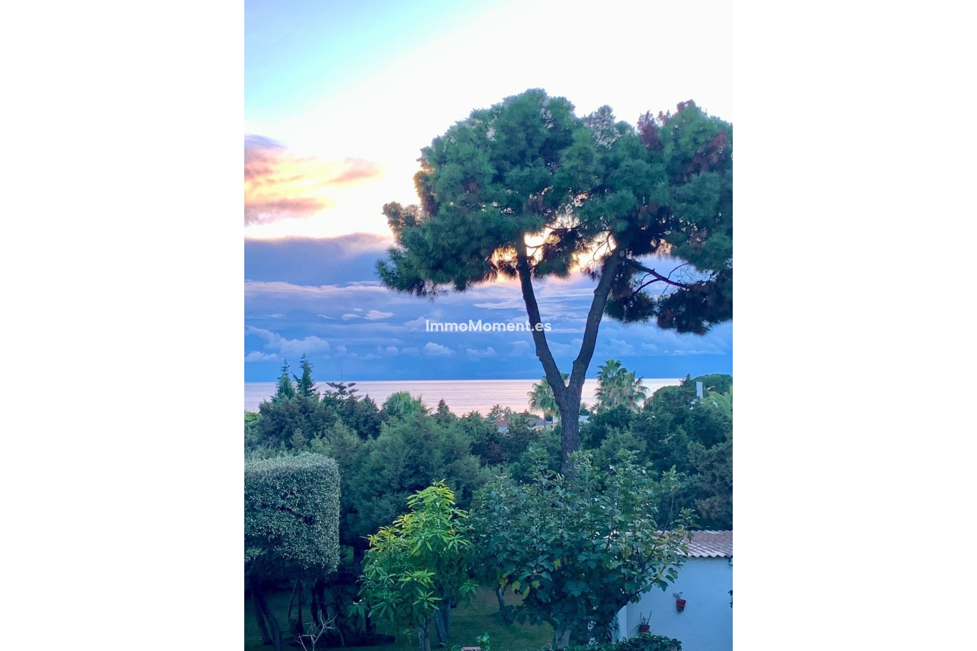 Revente - Terrain - Marbella - Marbesa