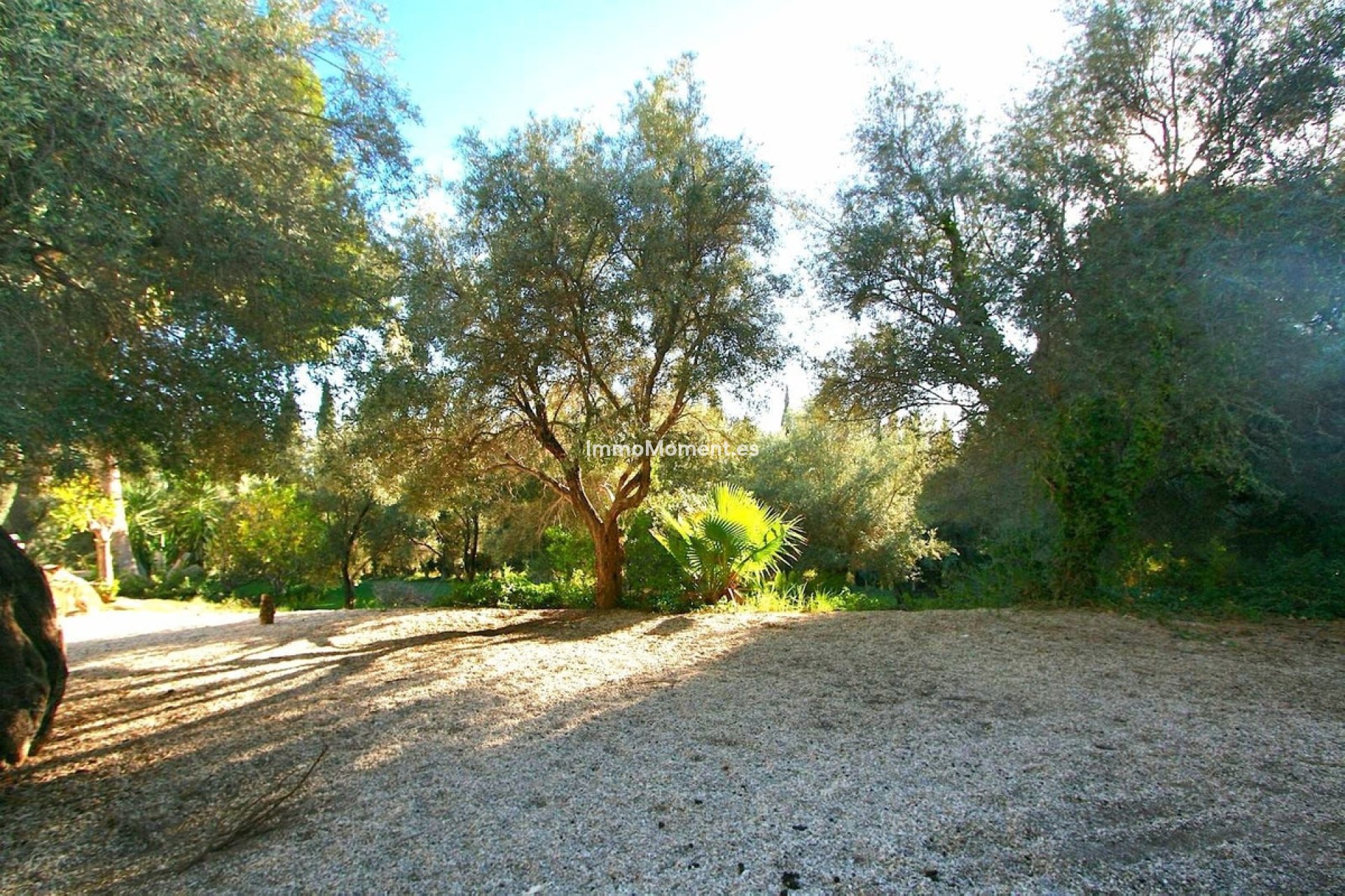 Revente - Terrain - Mijas - Mijas Centro