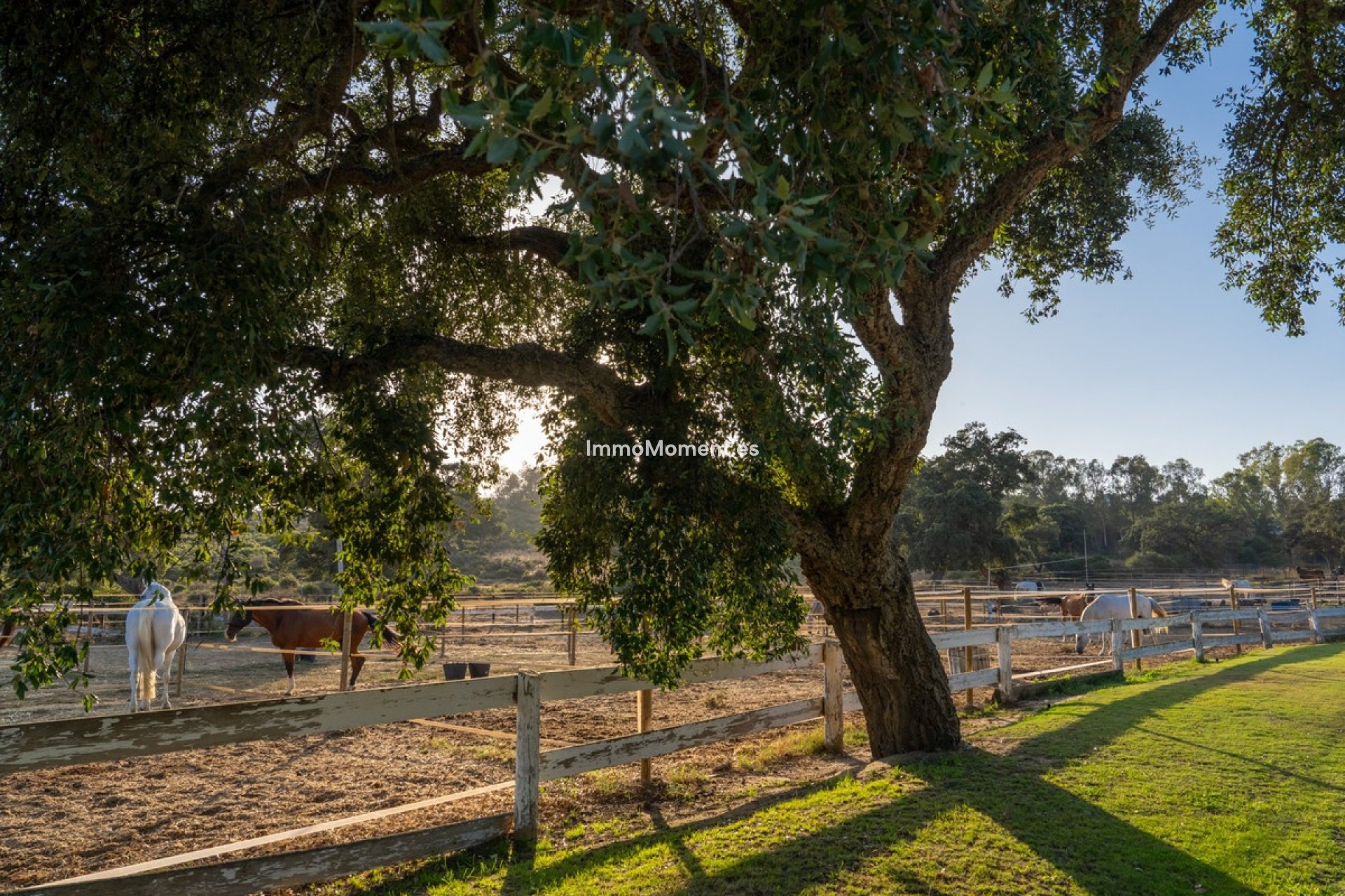 Revente - Terrain - Sotogrande - San Roque Club