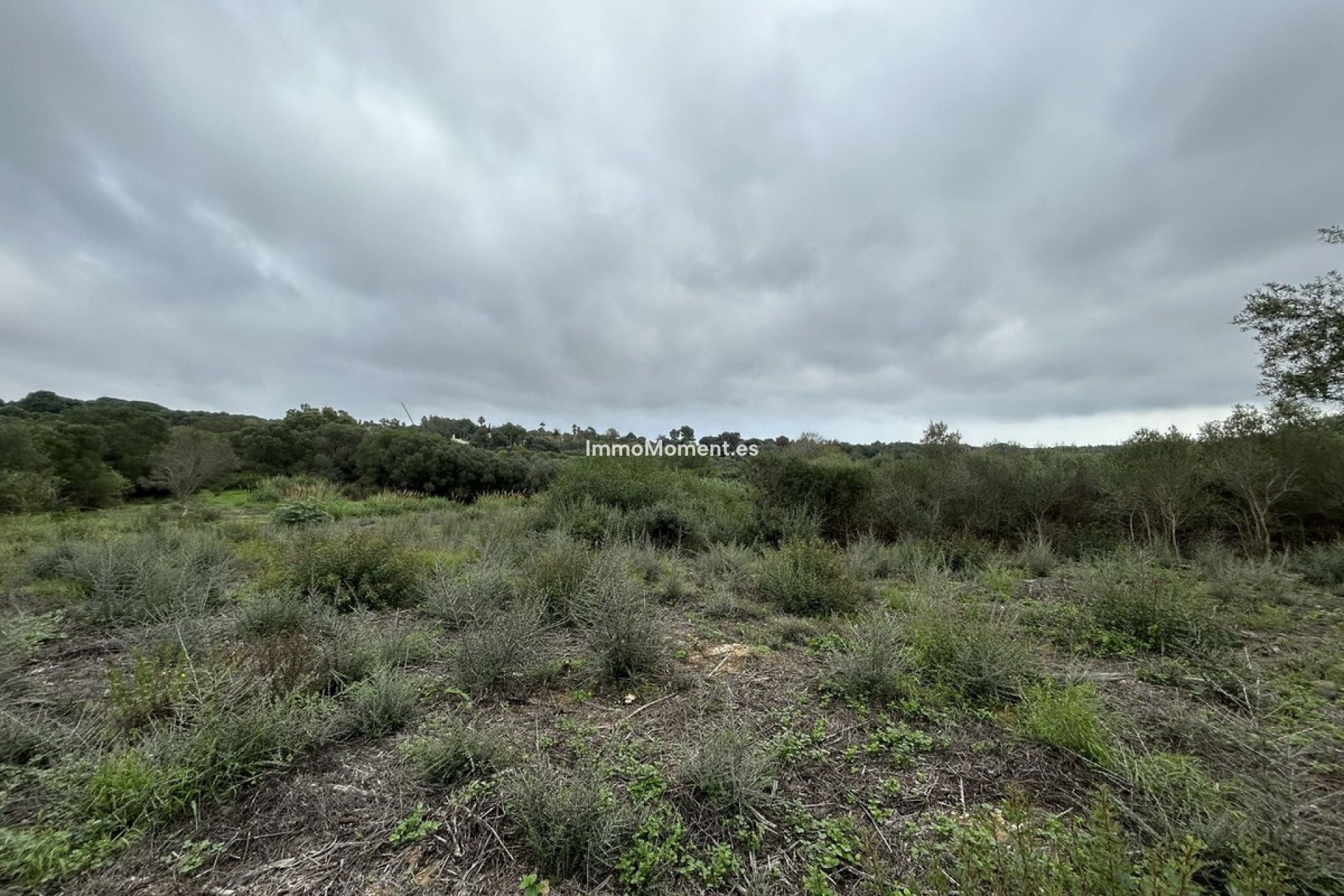 Revente - Terrain - Sotogrande - Sotogrande Alto