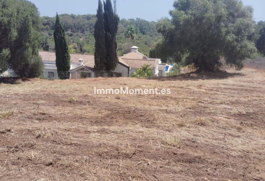 Revente - Terrain - Sotogrande - Sotogrande Alto