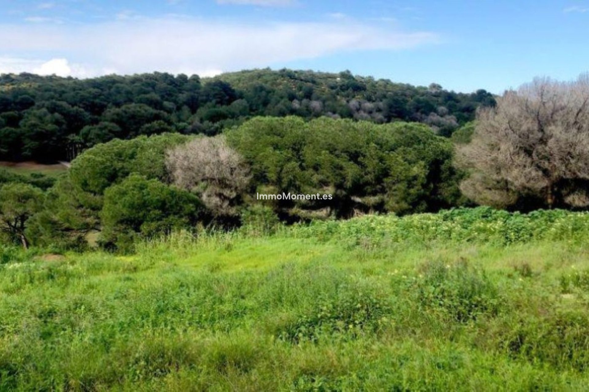 Revente - Terrain - Sotogrande