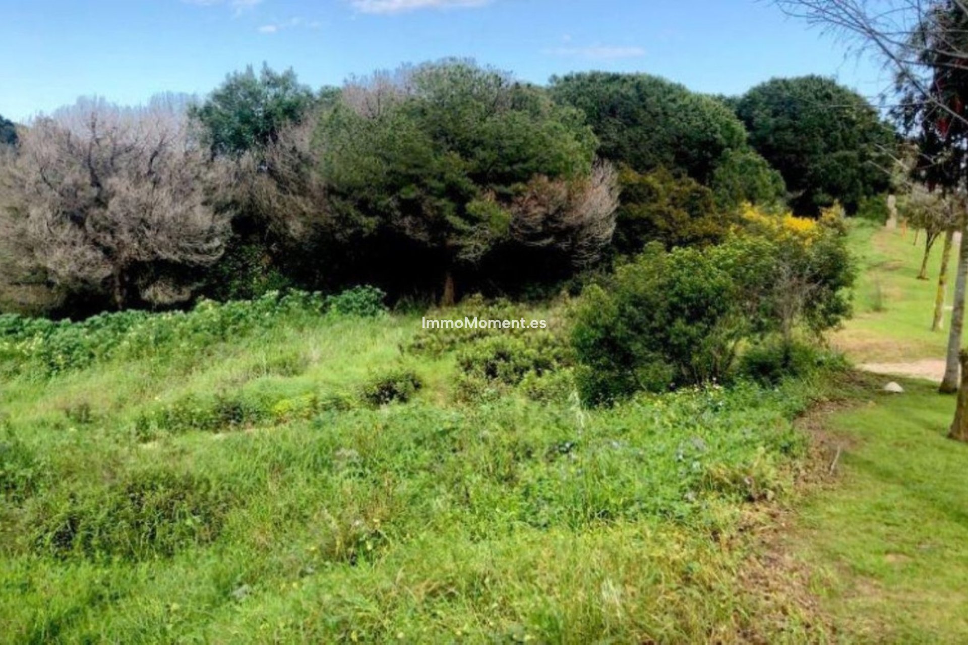 Revente - Terrain - Sotogrande