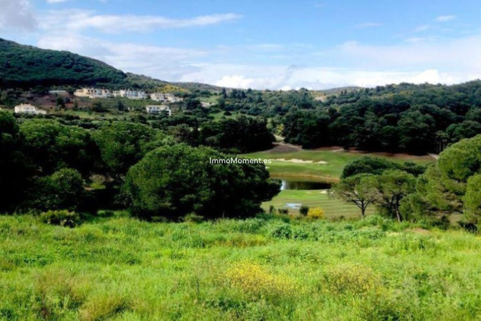 Revente - Terrain - Sotogrande