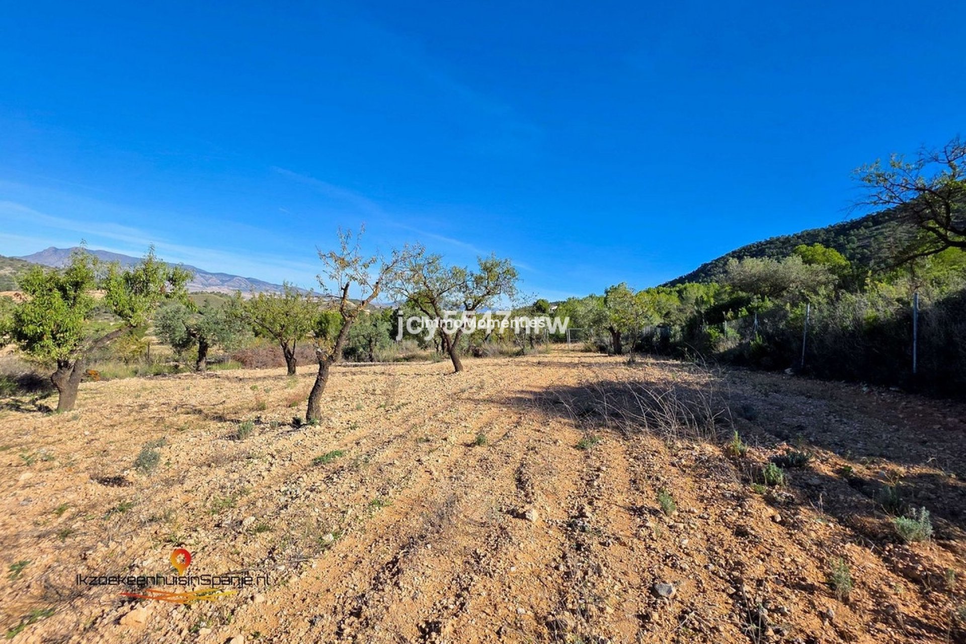 Revente - Villa - Abanilla - Abanilla Centro