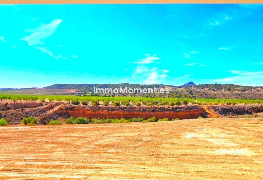 Revente - Villa - Abanilla - Macisvenda