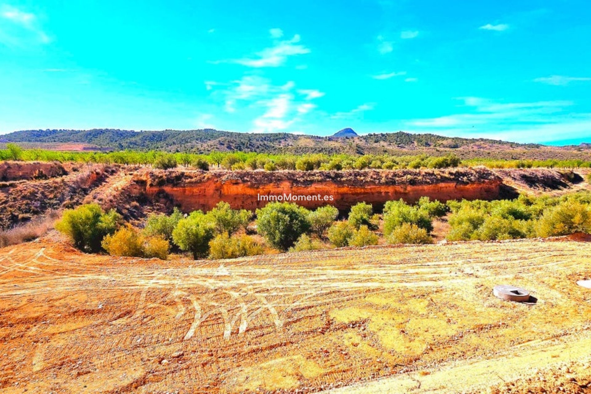 Revente - Villa - Abanilla - Macisvenda