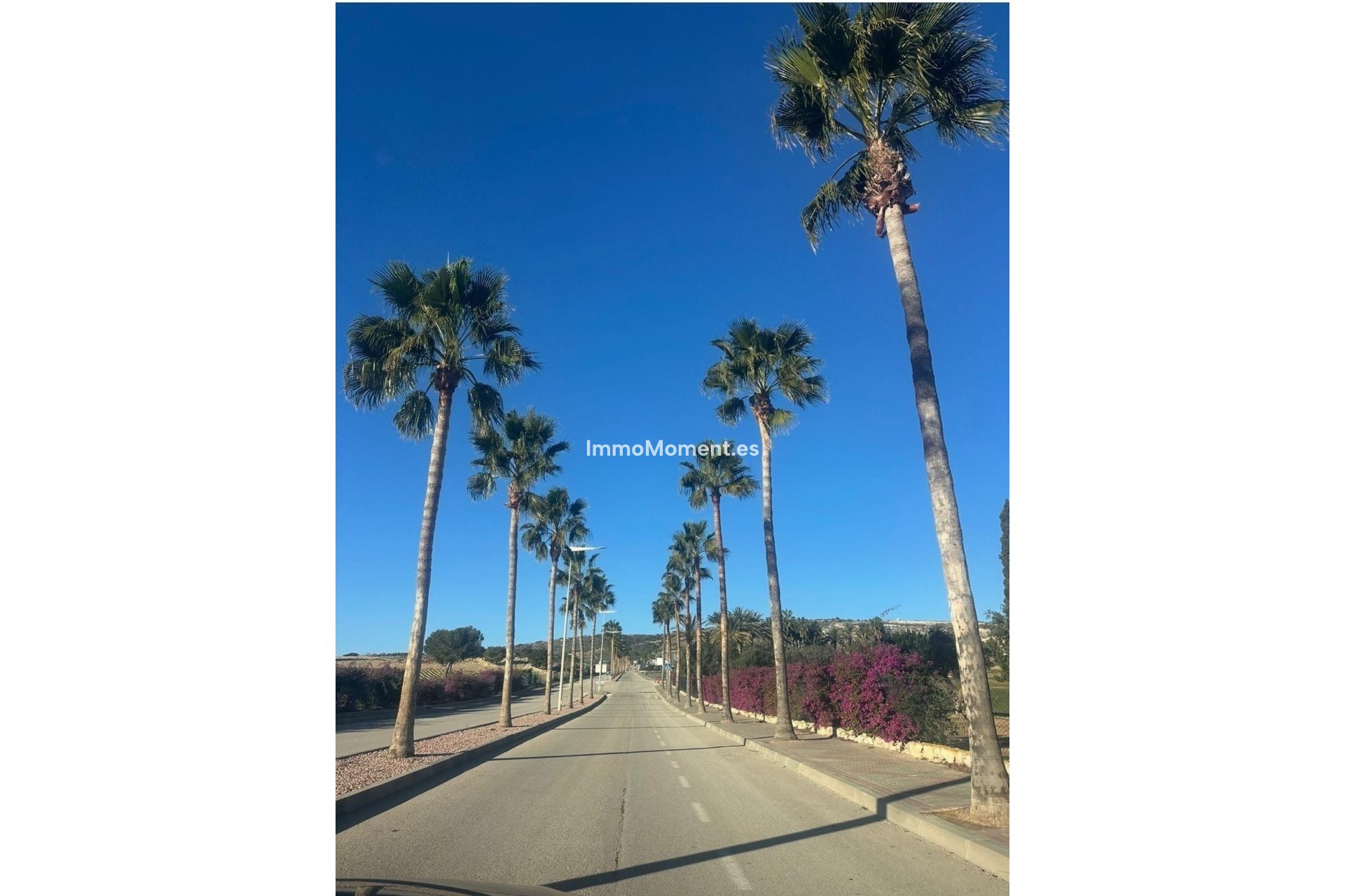 Revente - Villa - Algorfa - Algorfa Centro