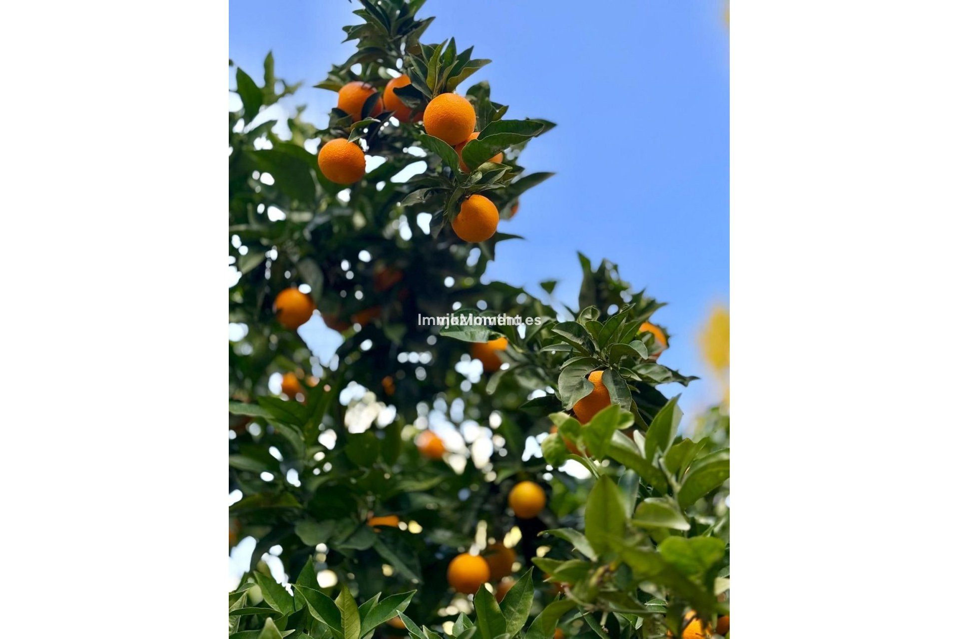 Revente - Villa - Benalmadena - Benalmadena Pueblo