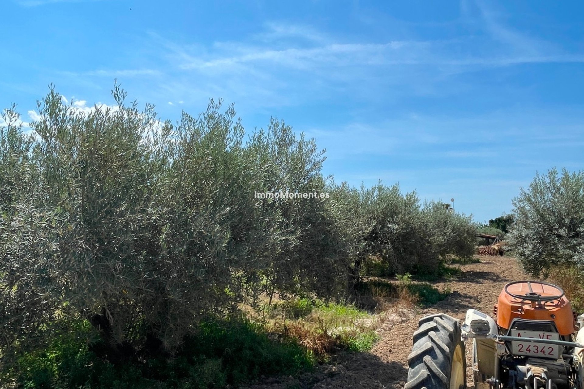 Revente - Villa - Crevillente - Crevillente - Crevillent Centro