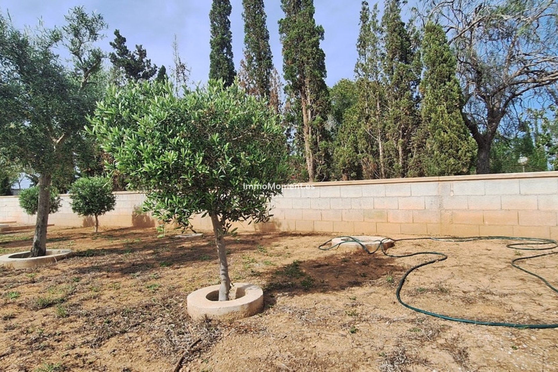 Revente - Villa - Elche - Elche Centro