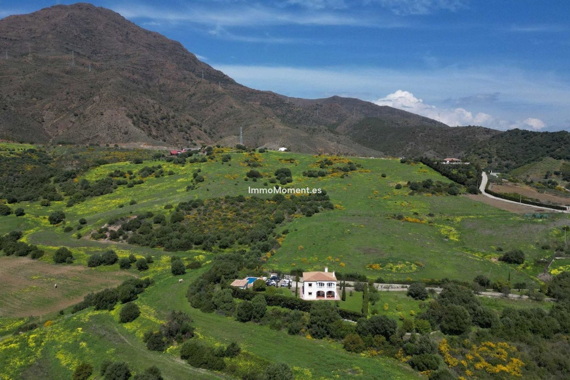 Revente - Villa - Estepona  - Estepona Centro