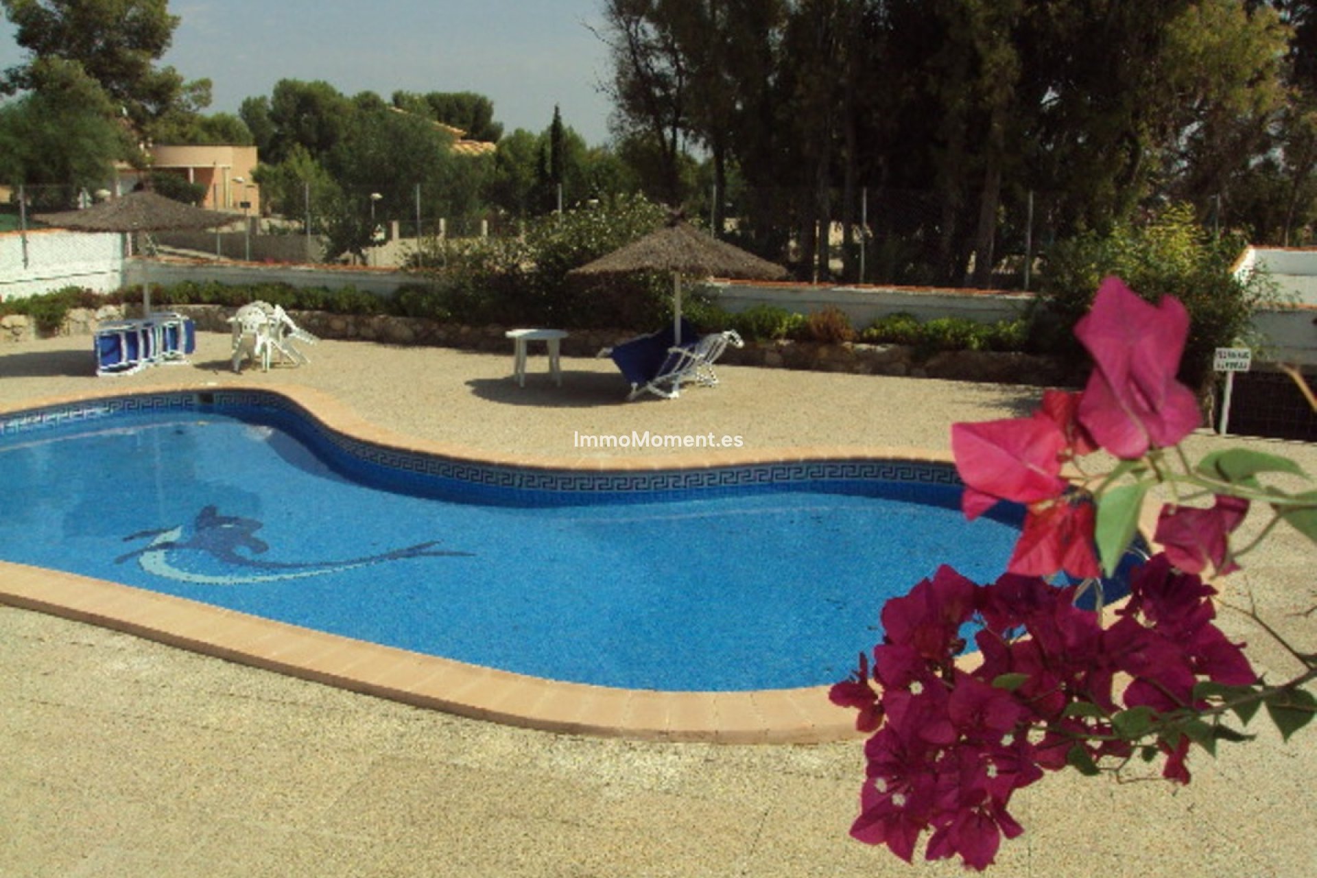 Revente - Villa - Fortuna - Fortuna Centro