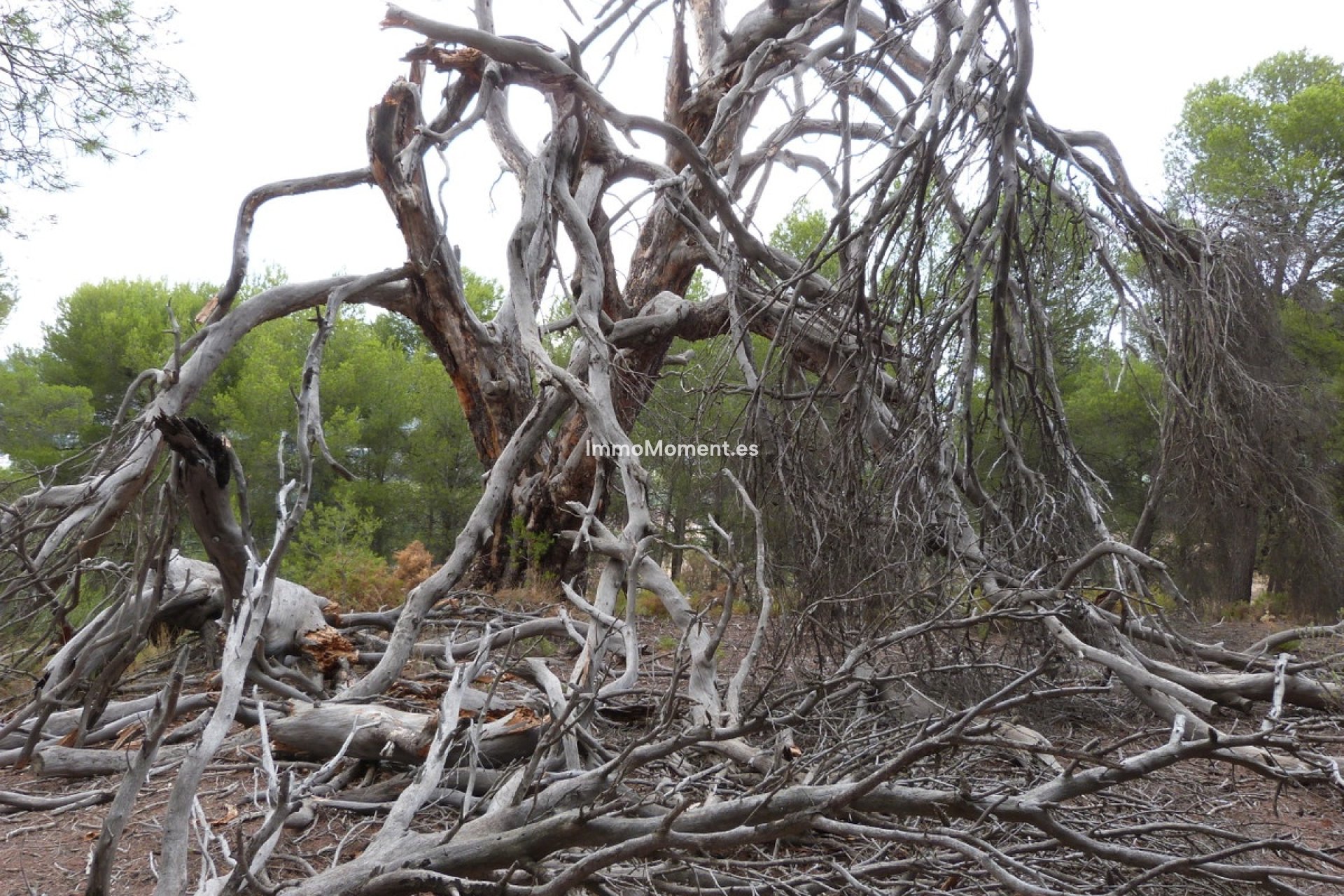 Revente - Villa - Ibi - Ibi Centro