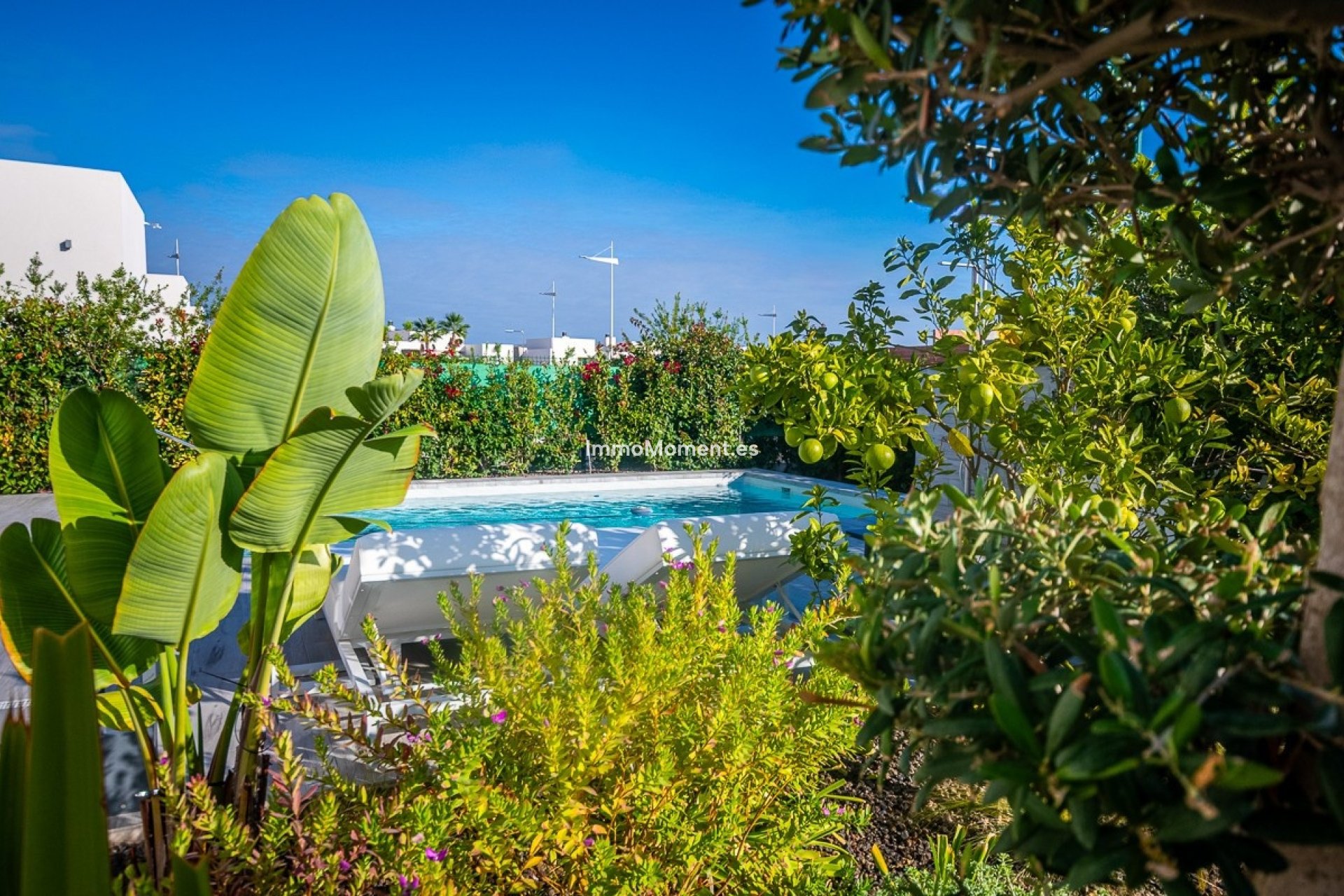 Revente - Villa individuelle - Algorfa - Algorfa Centro