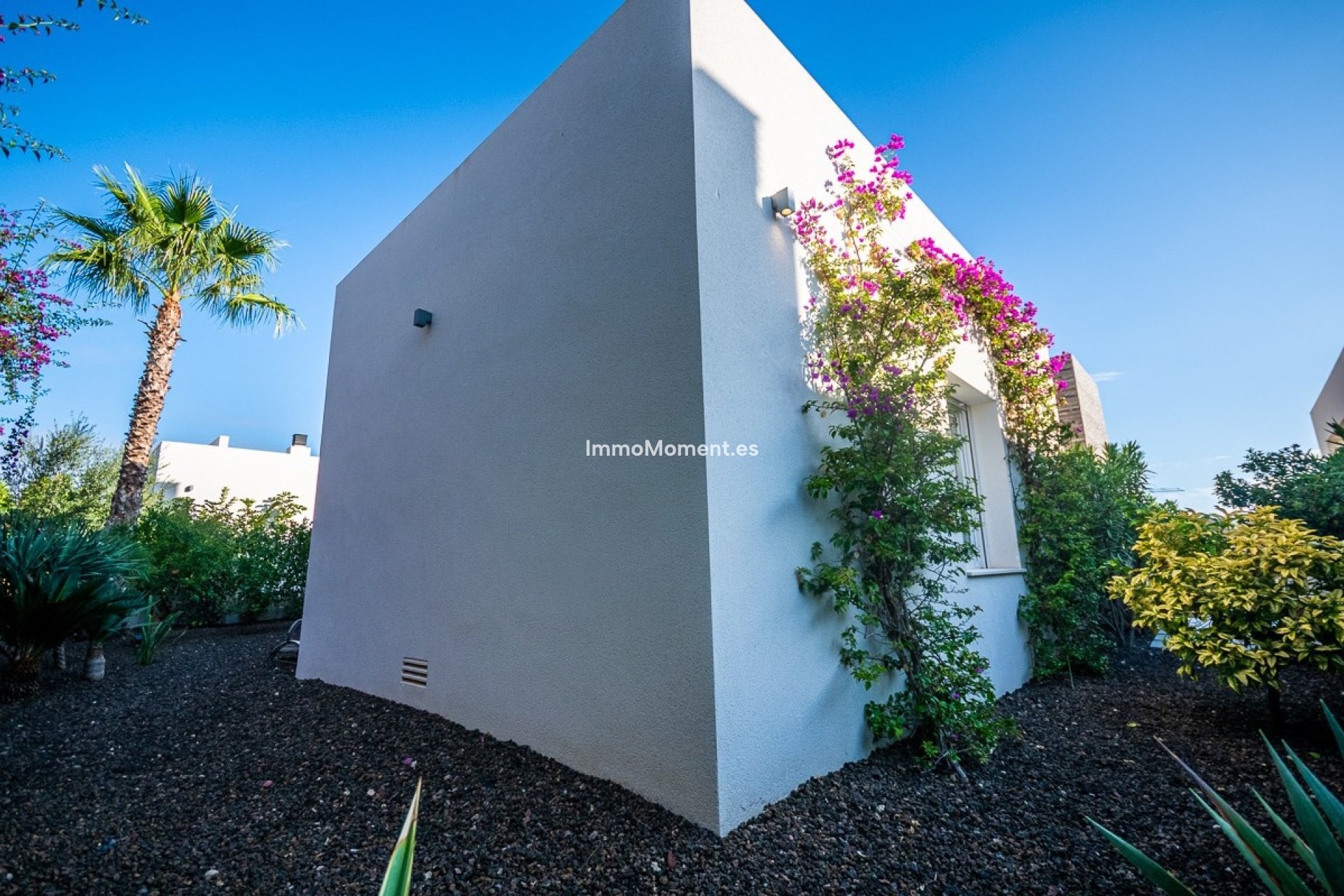 Revente - Villa individuelle - Algorfa - Algorfa Centro