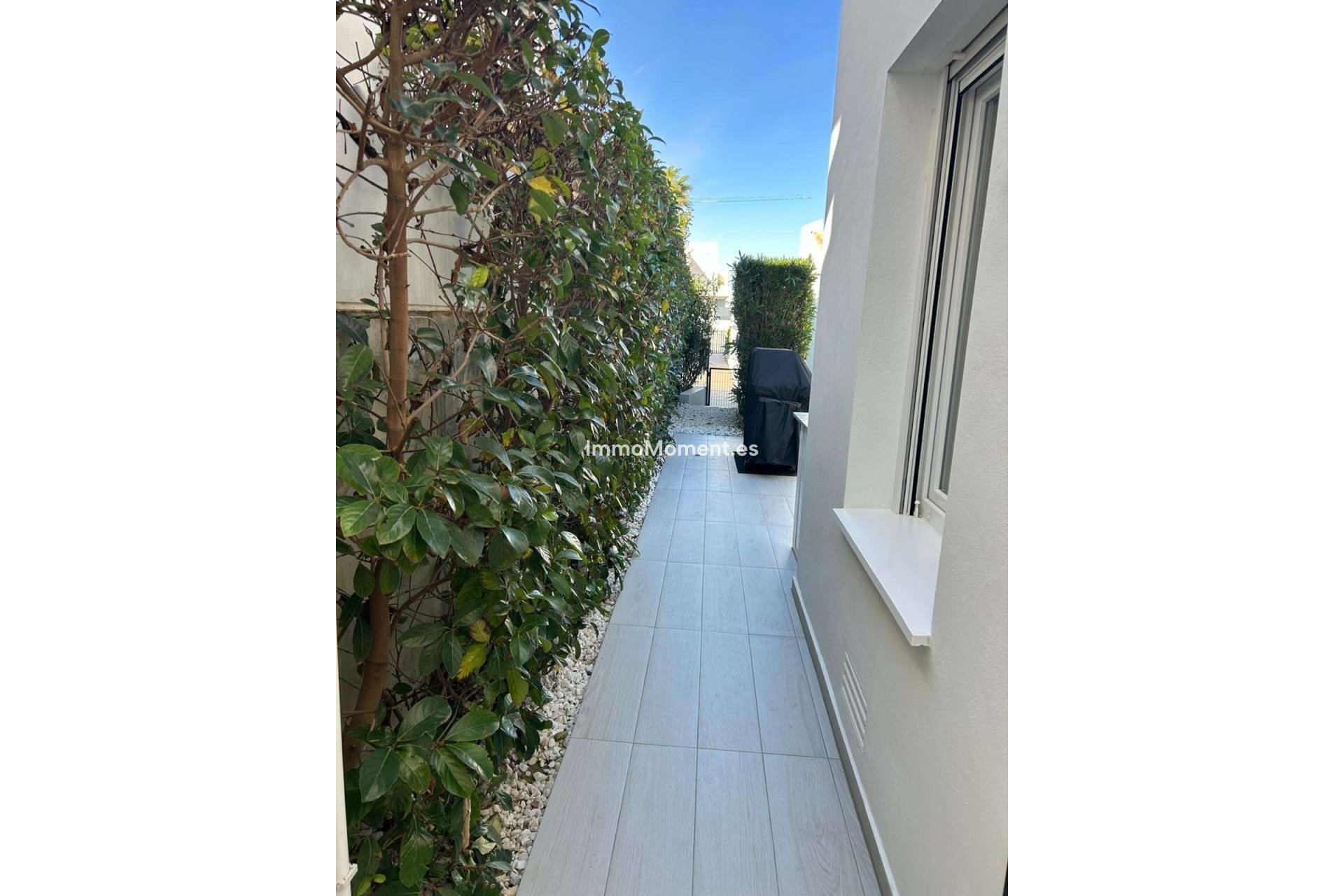 Revente - Villa individuelle - Algorfa - Algorfa Centro