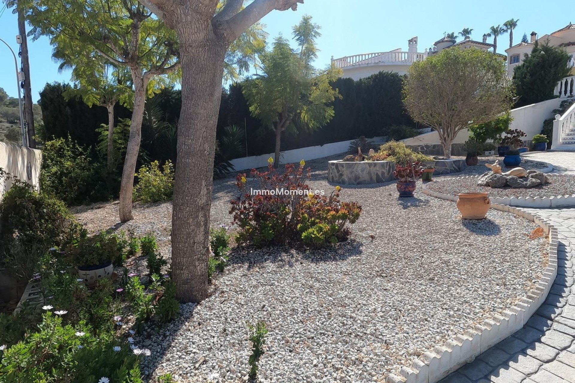 Revente - Villa individuelle - Algorfa - Algorfa Centro
