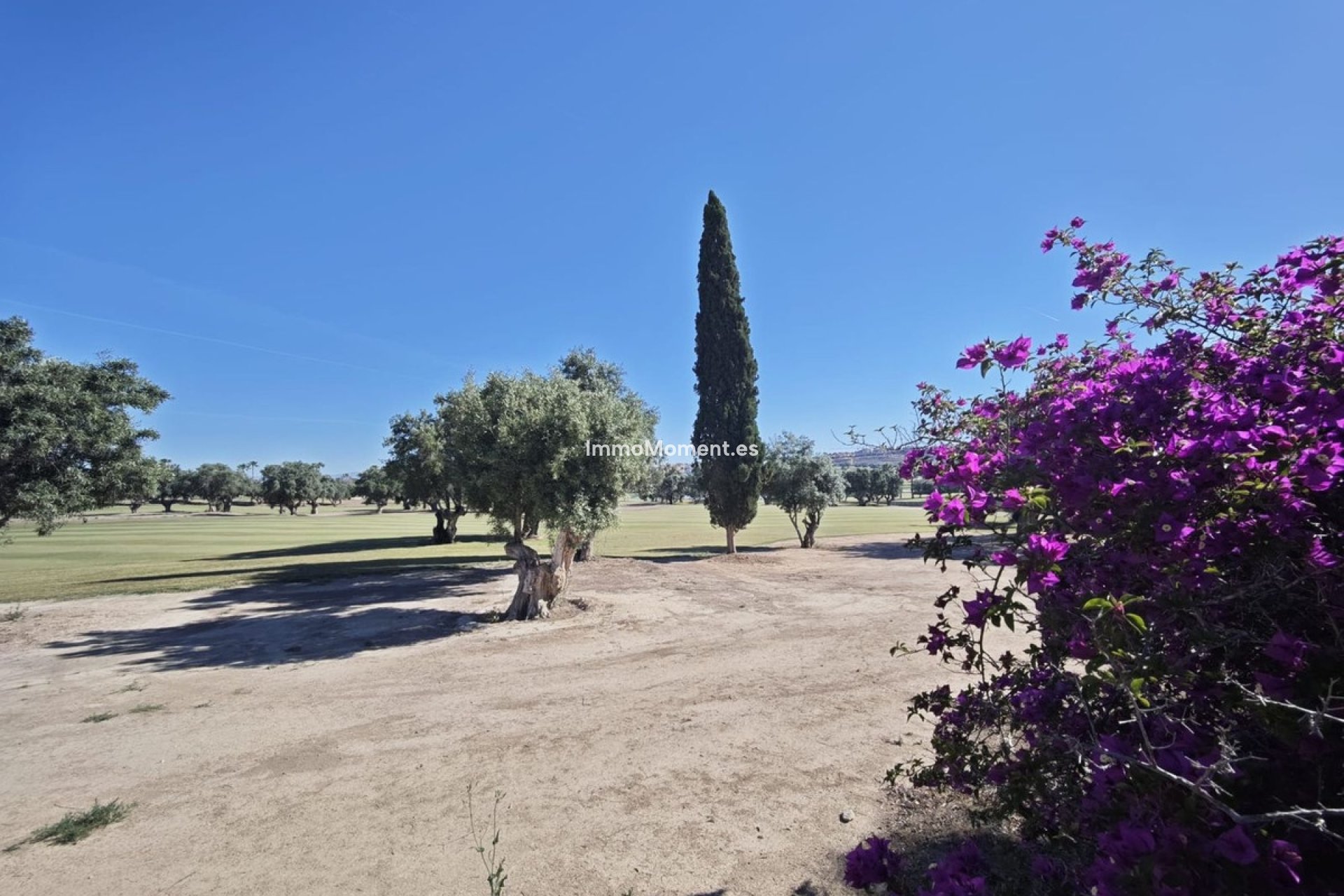 Revente - Villa individuelle - Algorfa - Algorfa Centro