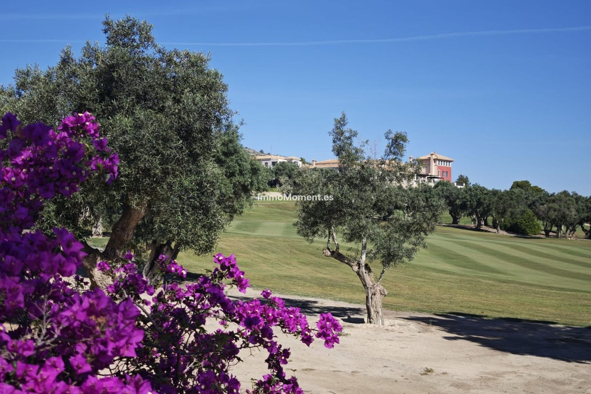 Revente - Villa individuelle - Algorfa - Algorfa Centro