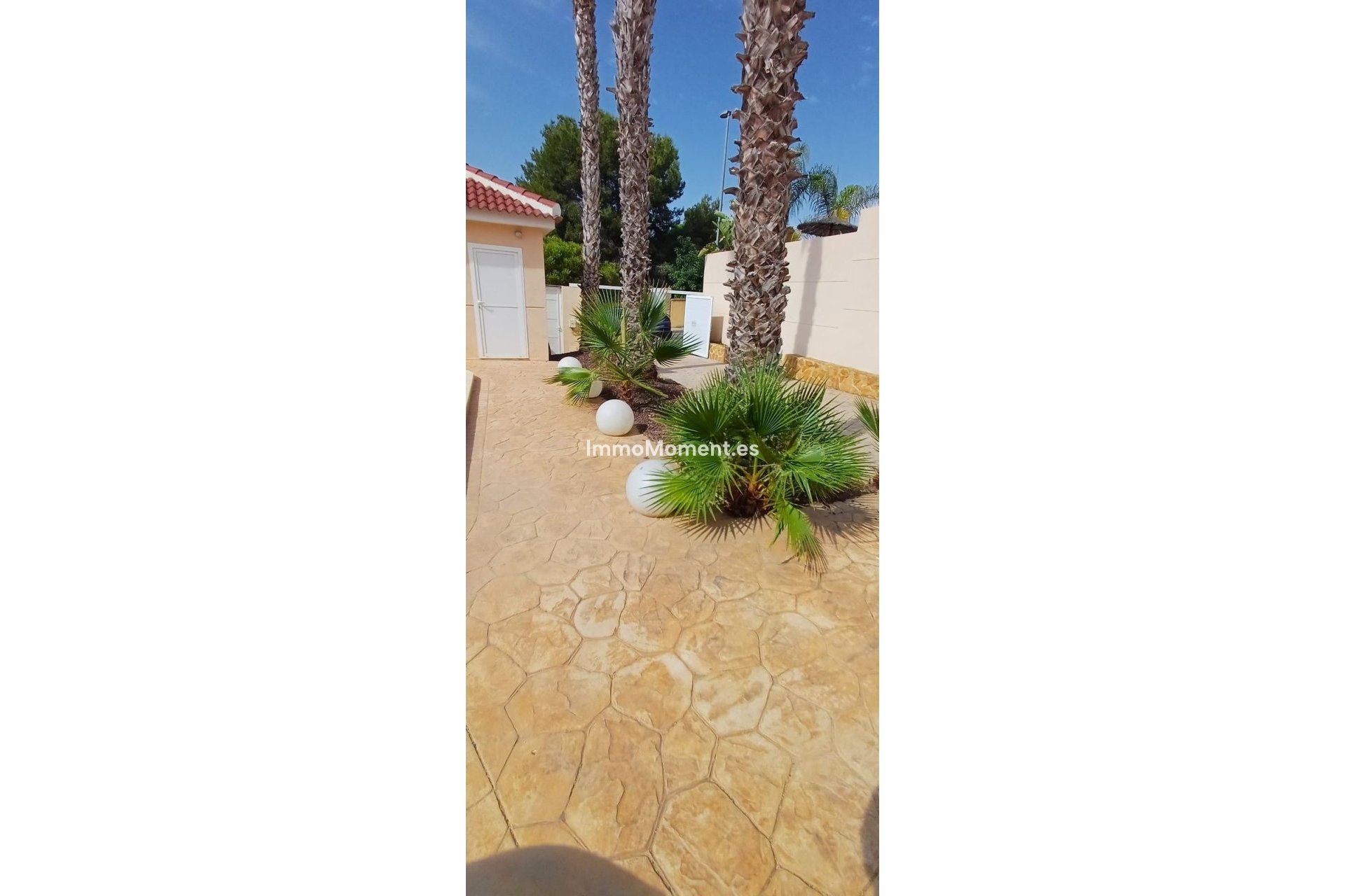 Revente - Villa individuelle - Algorfa - Algorfa Centro